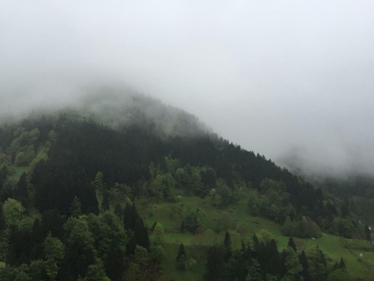 Come To Uzungöl Dış mekan fotoğraf